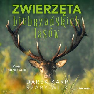 Zwierzęta biebrzańskich lasów – okładka audiobooka, autor Darek Karp