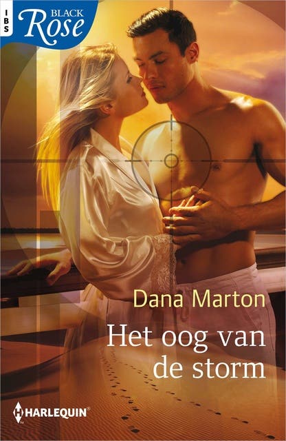 Het oog van de storm – omslag van het luisterboek van Dana Marton