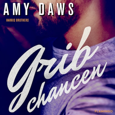 Grib chancen – omslag til lydbogen af Amy Daws
