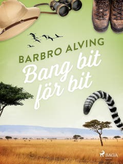 Bang bit för bit – omslag till ljudboken av Barbro Alving