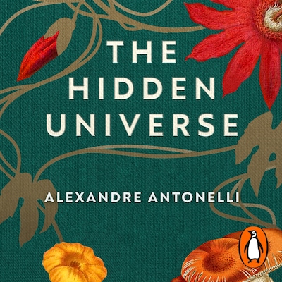 The Hidden Universe – omslag til lydbogen af Alexandre Antonelli