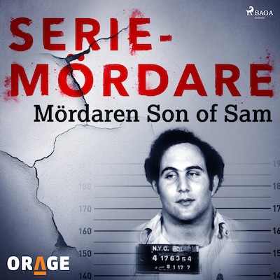 Mördaren Son of Sam