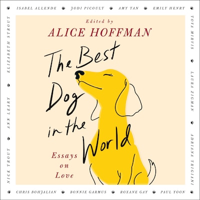 The Best Dog in the World – omslag til lydbogen af Alice Hoffman