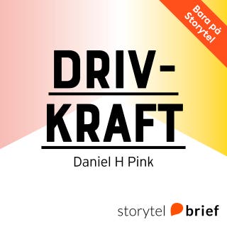 Drivkraft – Den överraskande sanningen om vad som motiverar oss