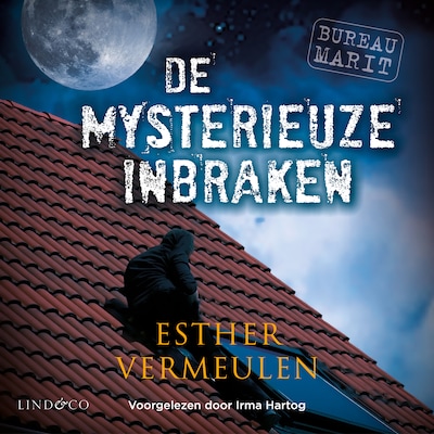 Bureau Marit - De mysterieuze inbraken