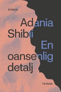 En oansenlig detalj – omslag till ljudboken av Adania Shibli