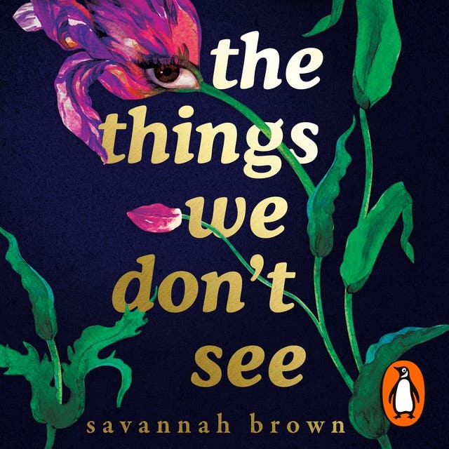 The Things We Don't See – omslag til lydbogen af Savannah Brown