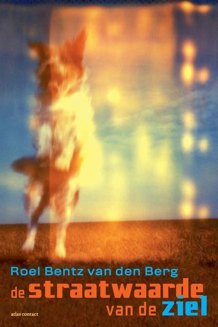 De straatwaarde van de ziel – omslag van het luisterboek van Roel Bentz van den Berg