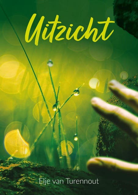 Uitzicht – omslag van het luisterboek van Elje Van Turennout