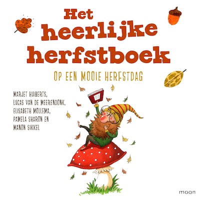 Het heerlijke herfstboek - Op een mooie herfstdag