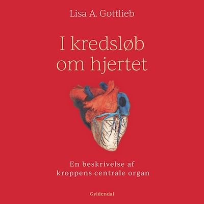 I kredsløb om hjertet – omslag til lydbogen af Lisa A. Gottlieb
