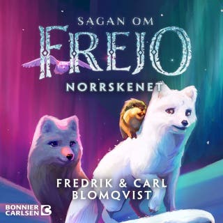 Norrskenet – omslag till ljudboken av Carl Blomqvist,Fredrik Blomqvist