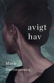 Avigt hav – omslag till ljudboken av Marie Darrieussecq