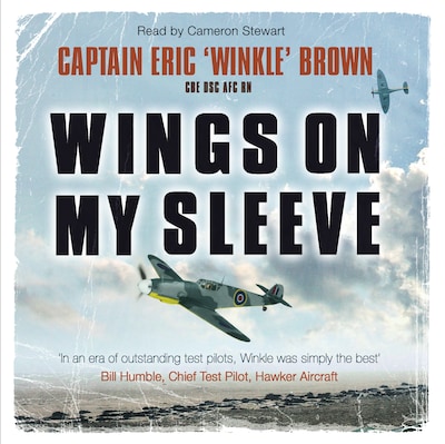 Wings on My Sleeve