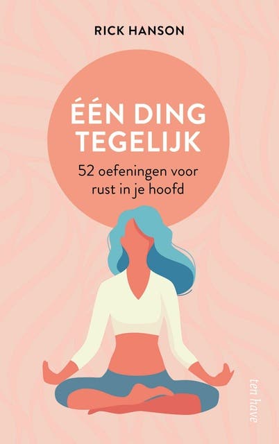 Eén ding tegelijk: 52 oefeningen voor rust in je hoofd – omslag van het luisterboek van Rick Hanson