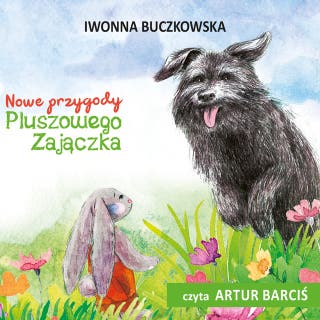 Nowe przygody Pluszowego Zajączka – okładka audiobooka, autor Iwonna Buczkowska