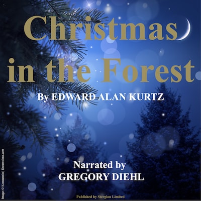 Christmas in the Forest