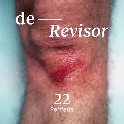 De Revisor #22 – omslag van het luisterboek van Jan van Mersbergen, Floor Milikowski, Rob van Essen