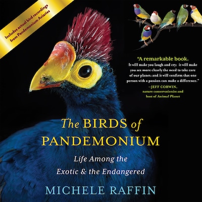 The Birds of Pandemonium – omslag til lydbogen af Michele Raffin