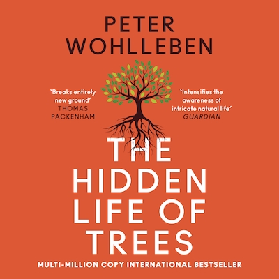 The Hidden Life of Trees