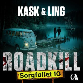 Sorgfallet