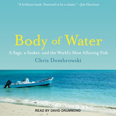 Body of Water – omslag til lydbogen af Chris Dombrowski