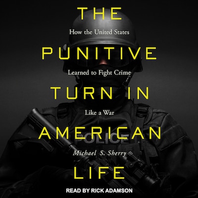 The Punitive Turn in American Life – omslag til lydbogen af Michael S. Sherry