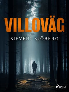 Villoväg
