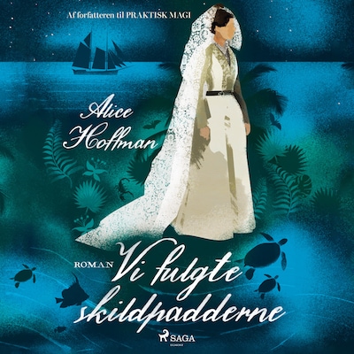 Vi fulgte skildpadderne – omslag til lydbogen af Alice Hoffman