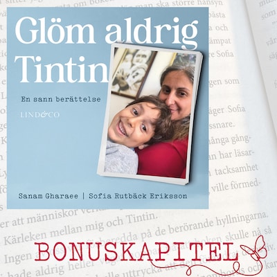 Glöm aldrig Tintin: Bonuskapitel