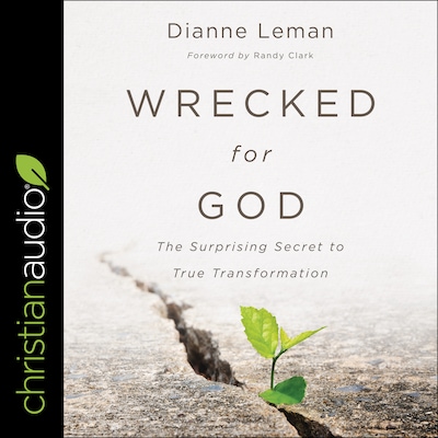 Wrecked for God – omslag til lydbogen af Dianne Leman