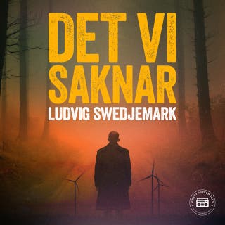 Det vi saknar