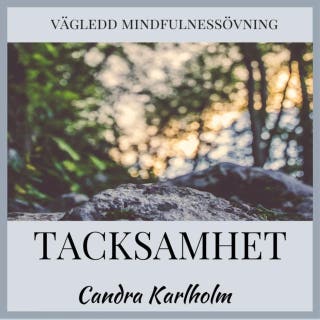 Tacksamhet: En vägledd mindfulnessmeditation