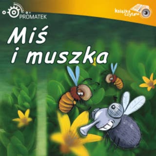 Miś i muszka – okładka audiobooka, autor Ryszard Adam Gruchawka