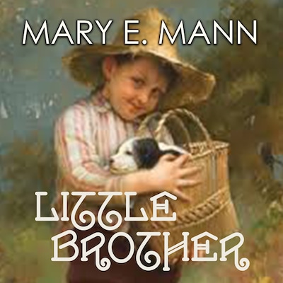 Little Brother – omslag til lydbogen af Mary E. Mann