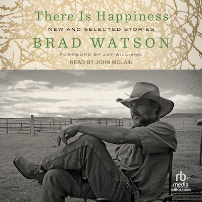 There Is Happiness – omslag til lydbogen af Brad Watson