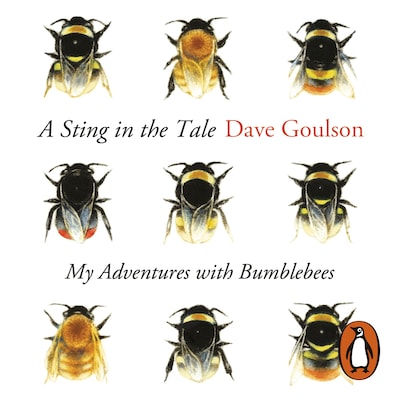 A Sting in the Tale – omslag til lydbogen af Dave Goulson