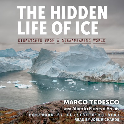 The Hidden Life of Ice – omslag til lydbogen af Marco Tedesco, Alberto Flores D'Arcais
