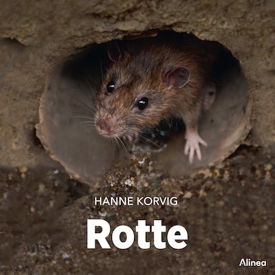 Rotte, Grøn Fagklub – omslag til lydbogen af Hanne Korvig
