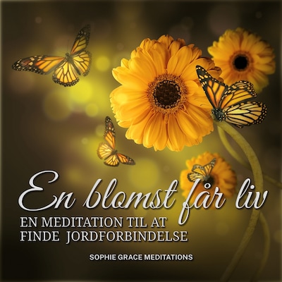 En blomst får liv. En meditation til at finde jordforbindelse – omslag til lydbogen af Sophie Grace Meditations