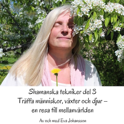 Shamanska tekniker del 3