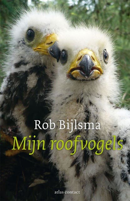 Mijn roofvogels – omslag van het luisterboek van Rob Bijlsma