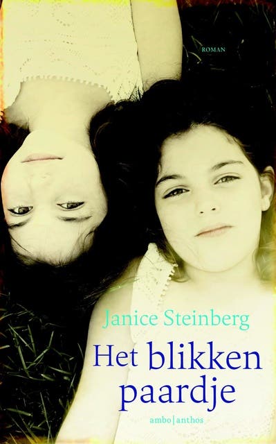Het blikken paardje – omslag van het luisterboek van Janice Steinberg