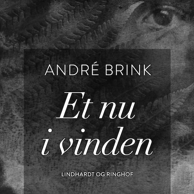Et nu i vinden – omslag til lydbogen af André Brink