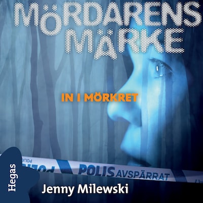 In i mörkret
