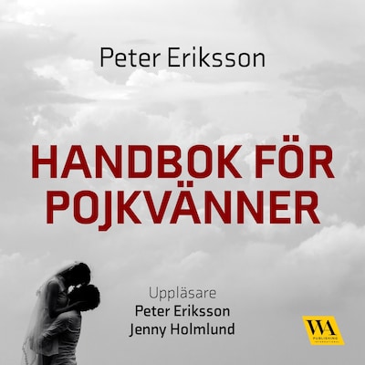 Handbok för pojkvänner : Förhållandeförlängare för pojkvänner, sambos, äkta män (och deras bättre hälfter)