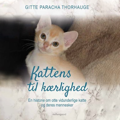 Kattens til kærlighed - En historie om otte vidunderlige katte og deres mennesker – omslag til lydbogen af Gitte Paracha Thorhauge