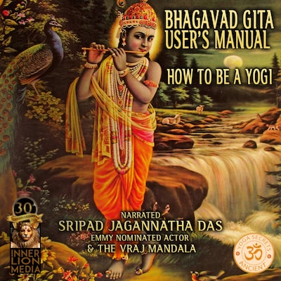 Bhagavad Gita User's Manual – omslag til lydbogen af Veda Vyas