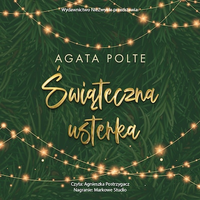Świąteczna usterka