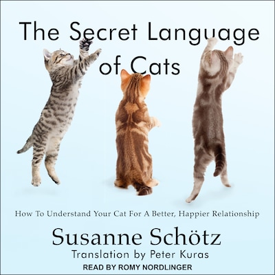 The Secret Language of Cats – omslag til lydbogen af Susanne Schotz